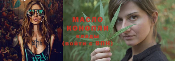 молекула духа Богданович