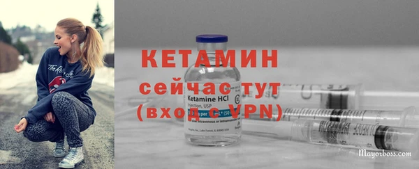 молекула духа Богданович