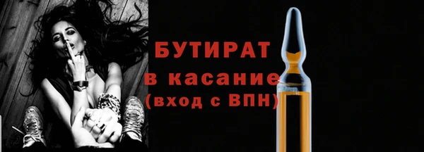 молекула духа Богданович