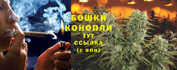 молекула духа Богданович