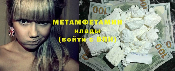 молекула духа Богданович