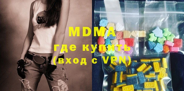 молекула духа Богданович